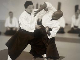UKA Summer School 2003 (Tori: Shihan Sugawara & Uke: Sensei Palmer